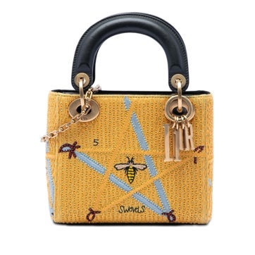 Mini Embroidered Canvas Swords Lady Dior