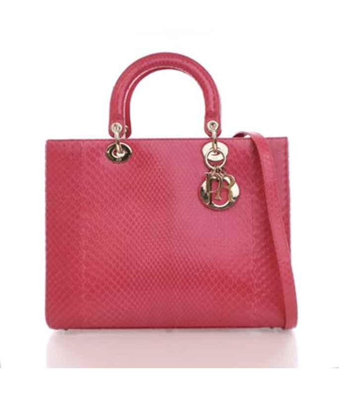 Dior Dior Python Lady Dior