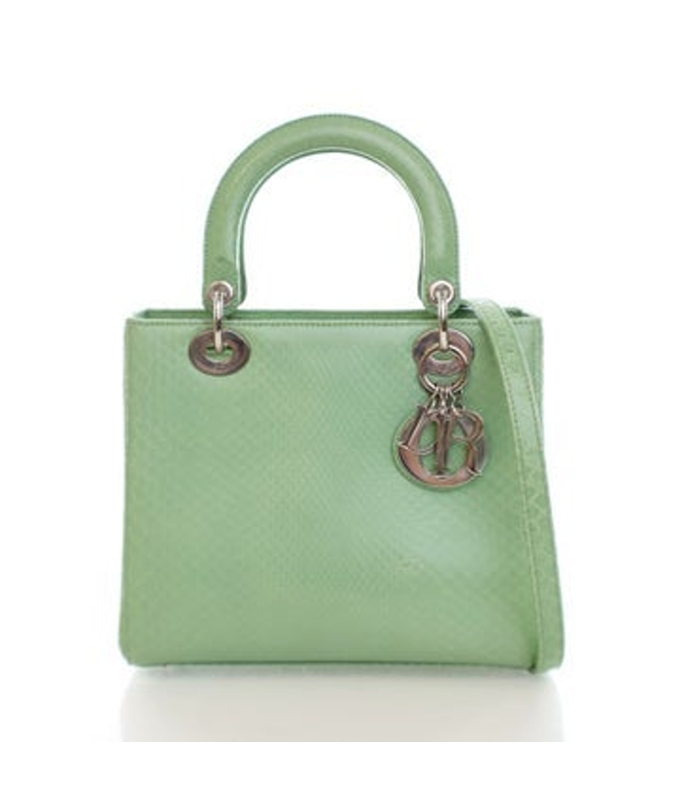 Dior Dior Python Lady Dior