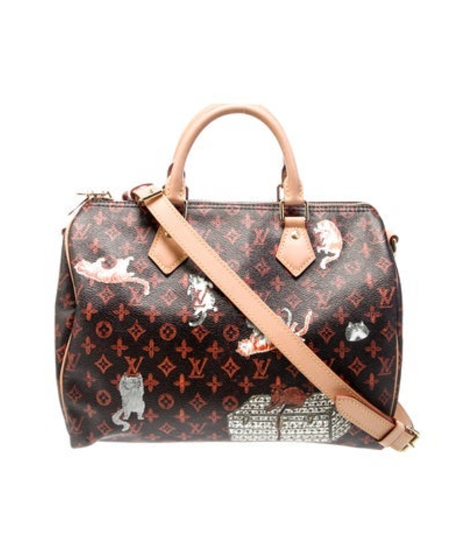 Louis Vuitton Vuitton Catogram Speedy Bandouliere 30