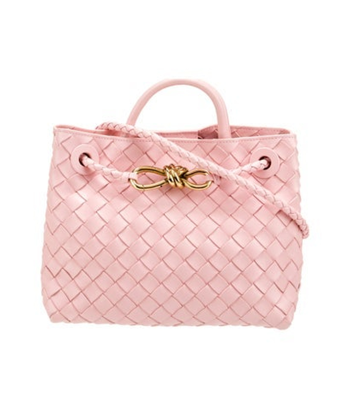 Bottega Veneta Veneta Intrecciato Andiamo Small
