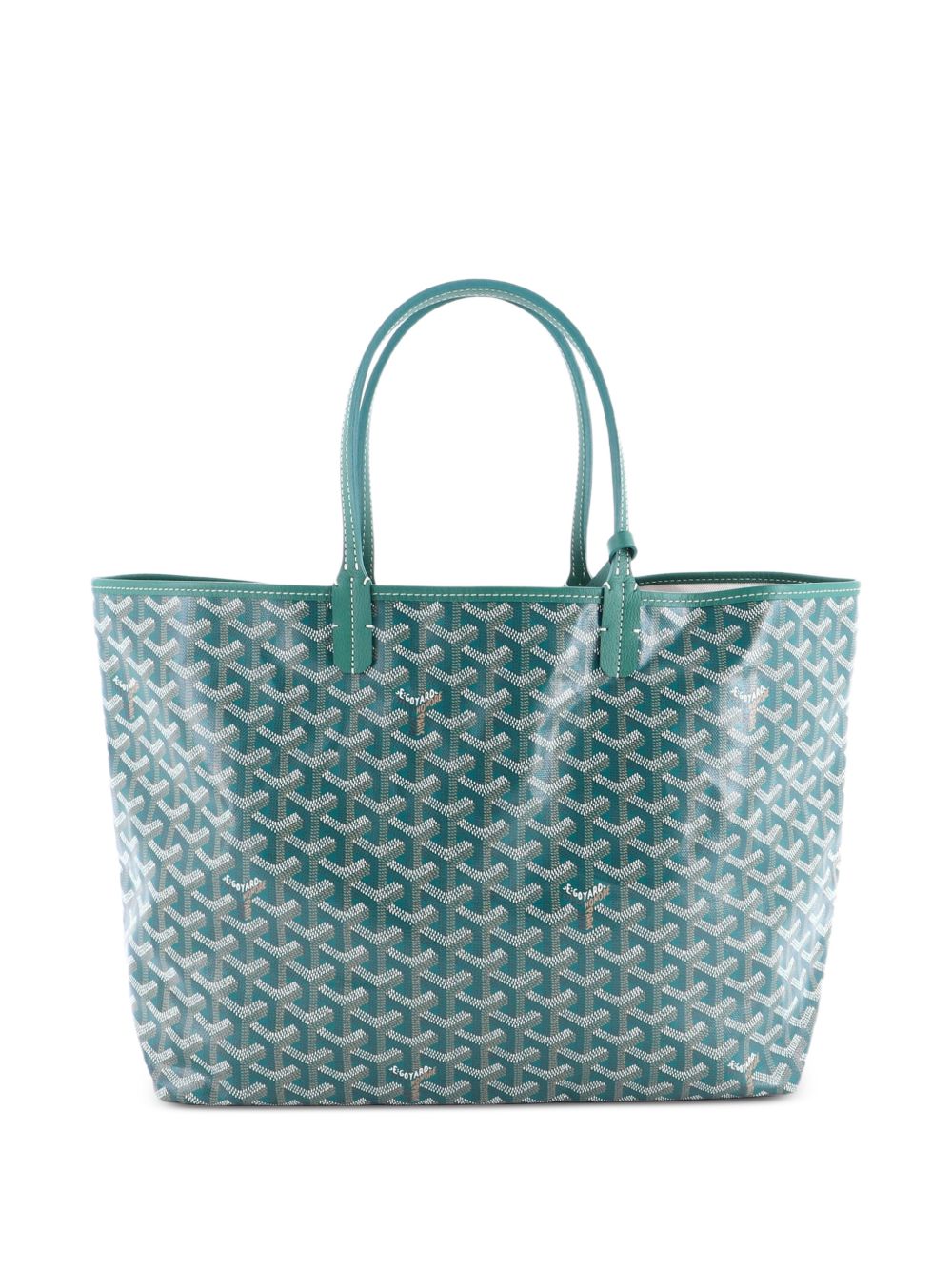 Saint Louis Coated Canvas PM tote bag