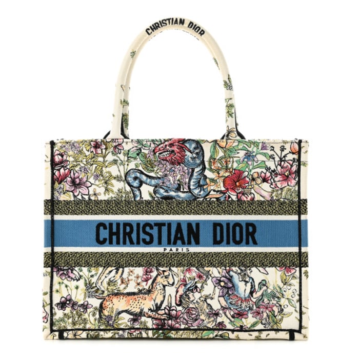 Dior CHRISTIAN DIOR Canvas Embroidered Medium D-Constellation Book Tote Latte Multicolor