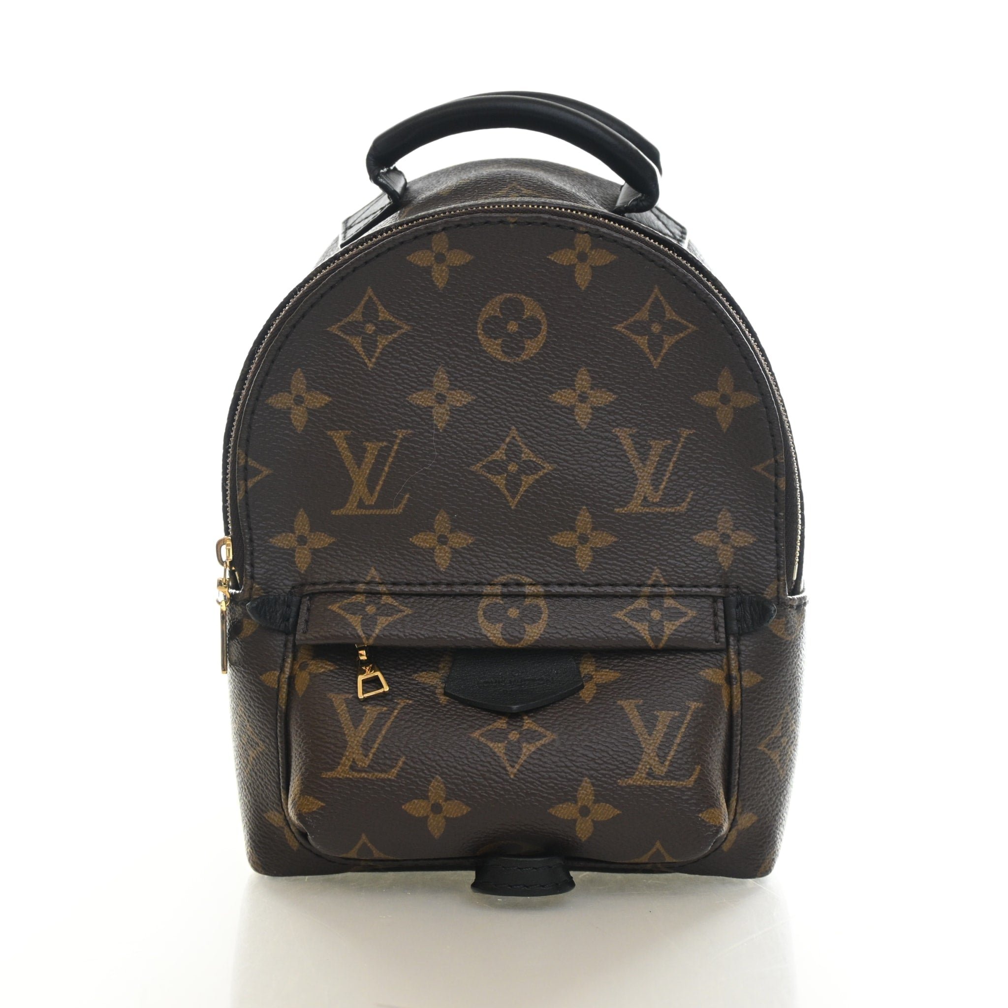 Louis Vuitton Monogram Palm Springs Mini