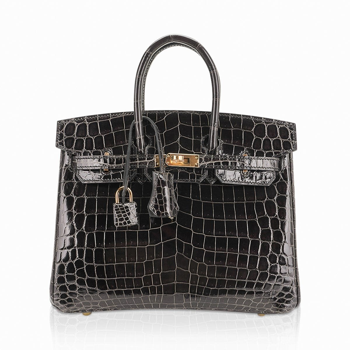 Hermes Hermes Birkin 25 Bag Graphite Crocodile with Gold Hardware
