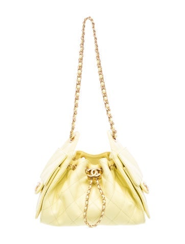 2026 Quilted Caviar Mini 25 Hobo