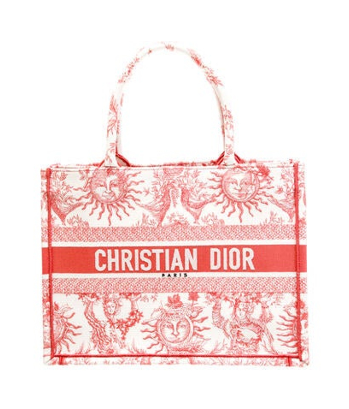 Dior Dior Canvas Book 2024