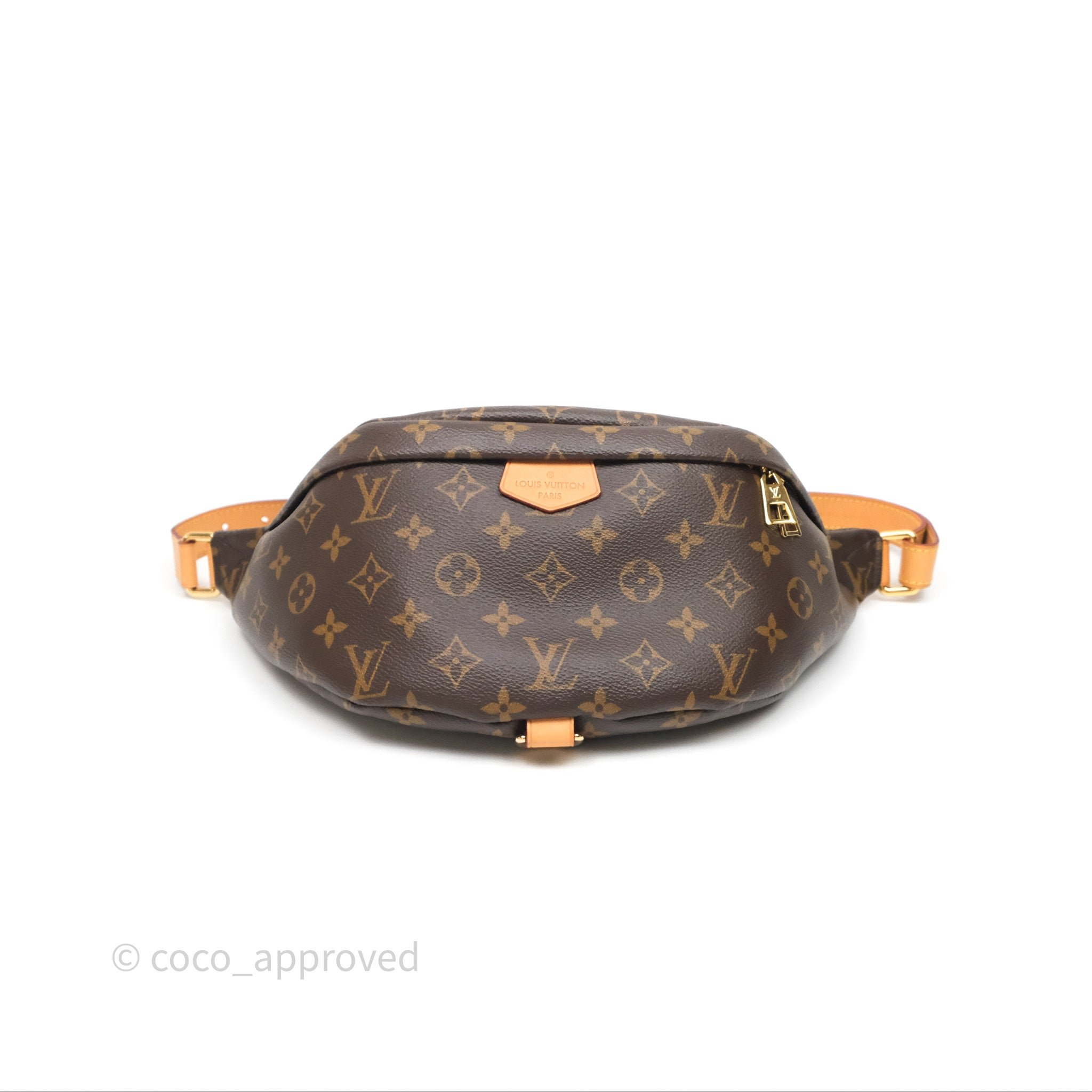 Louis Vuitton Bum Bag Monogram Canvas
