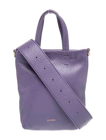 Cuyana Leather Bucket Bag
