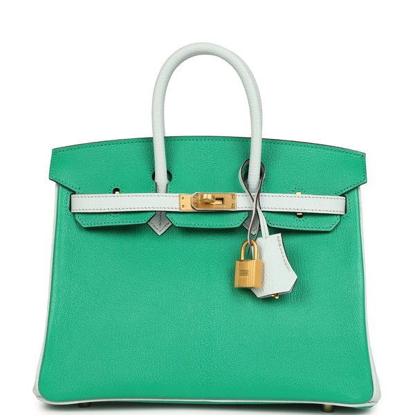 Hermes Hermes Special Order (HSS) Birkin 25 Bi-Color Menthe and Bleu Brume Chevre Mysore Brushed Gold Hardware