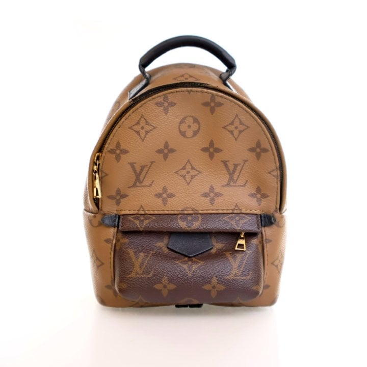 Louis Vuitton Reverse Monogram Palm Springs Mini