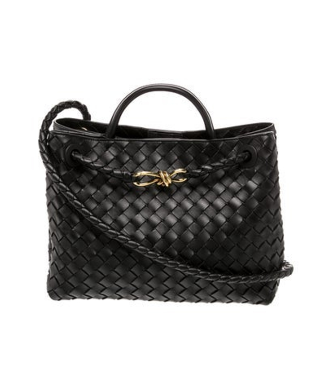 Bottega Veneta Veneta Intrecciato Andiamo Small