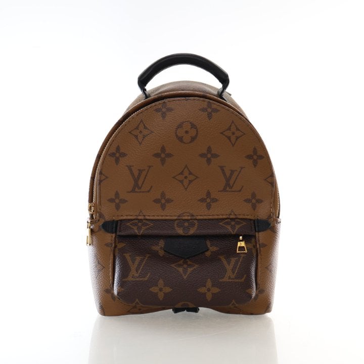 Louis Vuitton Reverse Monogram Palm Springs Mini