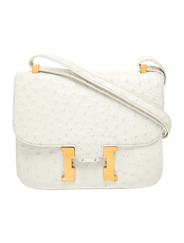 Ostrich Constance 23