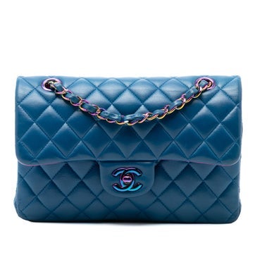 Lambskin Small Classic Lambskin Rainbow Hardware Double Flap