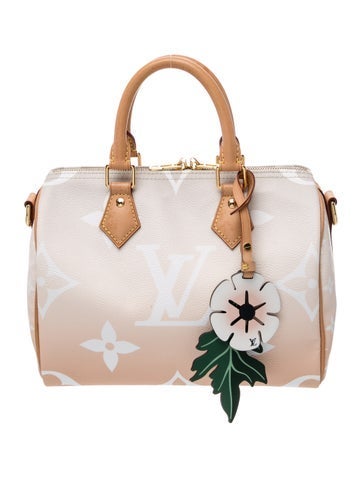 Monogram Giant Speedy Bandouliere 25