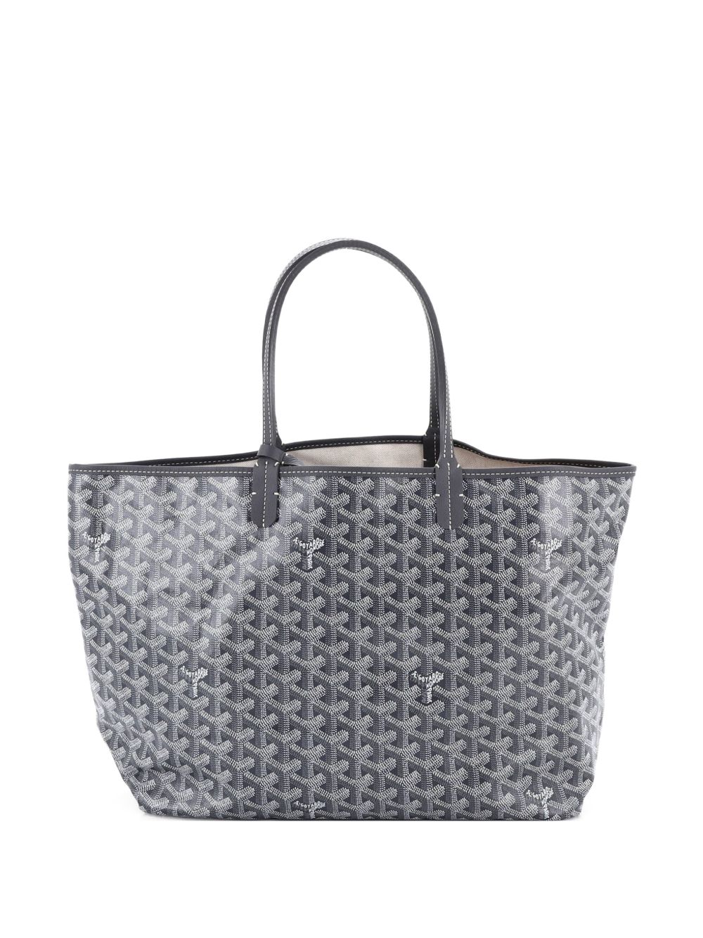 Saint Louis Coated Canvas PM tote bag
