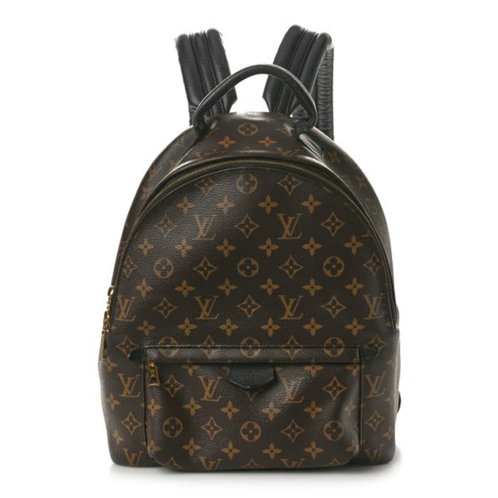 Louis Vuitton Monogram Palm Springs Backpack MM