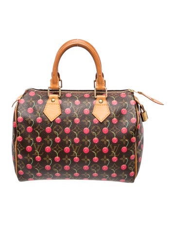 LV Monogram Speedy 25