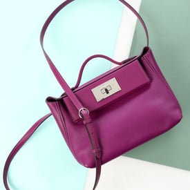 Hermes Hermès Mini Anemone Swift and Evercolor 24/24 Bag