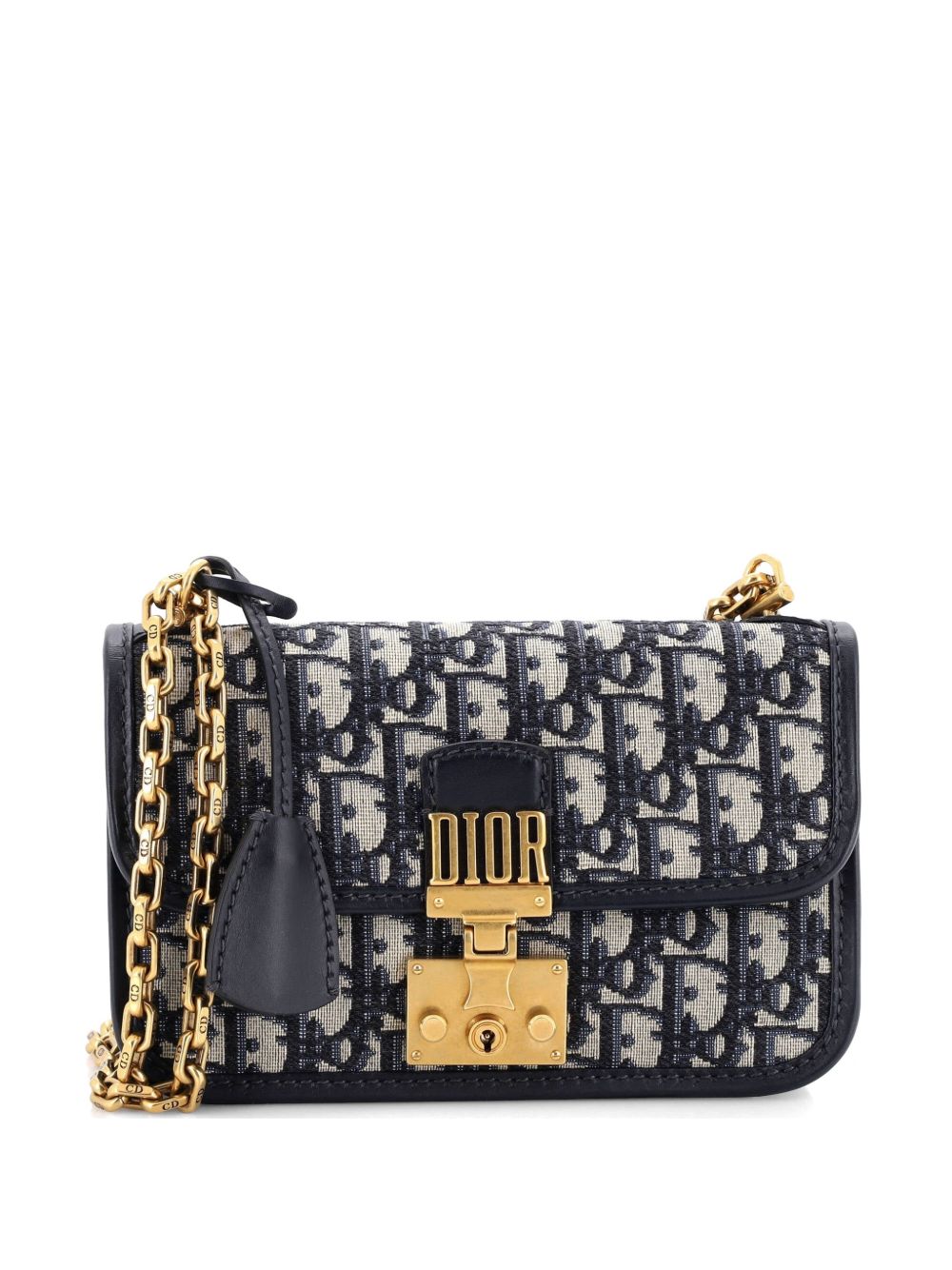 Dioraddict Flap Bag Oblique Canvas Medium shoulder bag