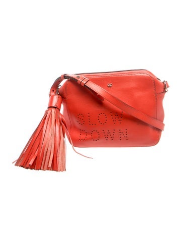 Anya Hindmarch Leather Crossbody Bag