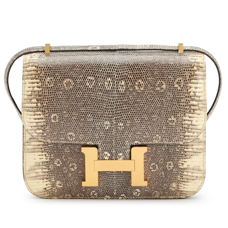 Hermes Ombré Salvator Lizard Mini Constance 18 Gold Hardware, 2021