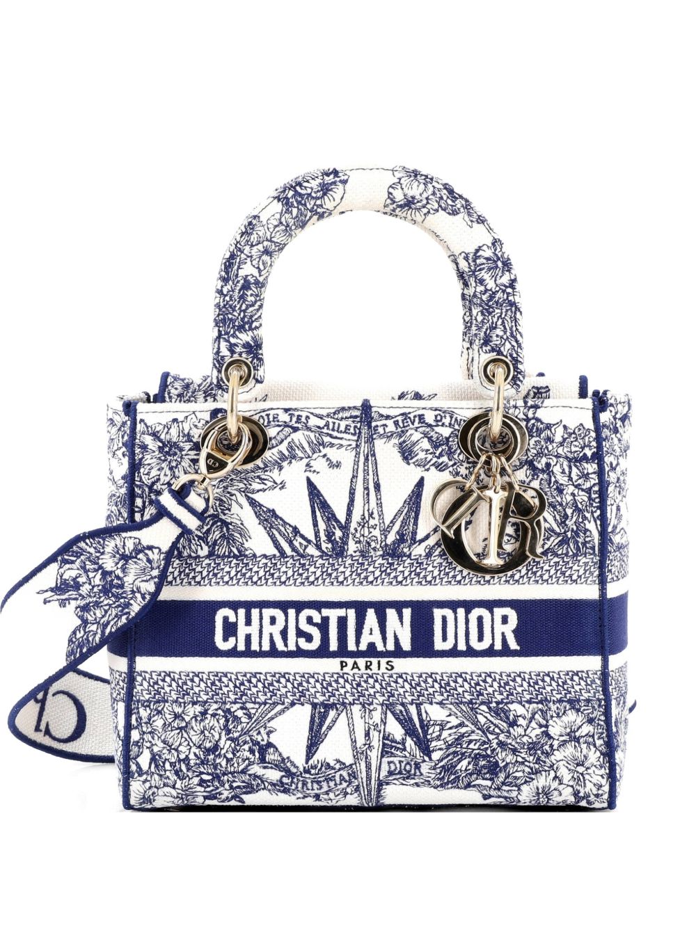Lady D-Lite Bag Embroidered Canvas Medium satchel