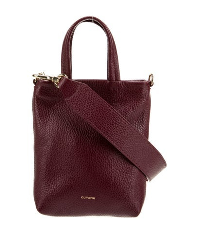 Cuyana Leather Top Handle Bag