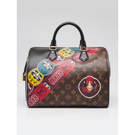Louis Vuitton Limited Edition Monogram Canvas Kabuki Speedy 30 Bag