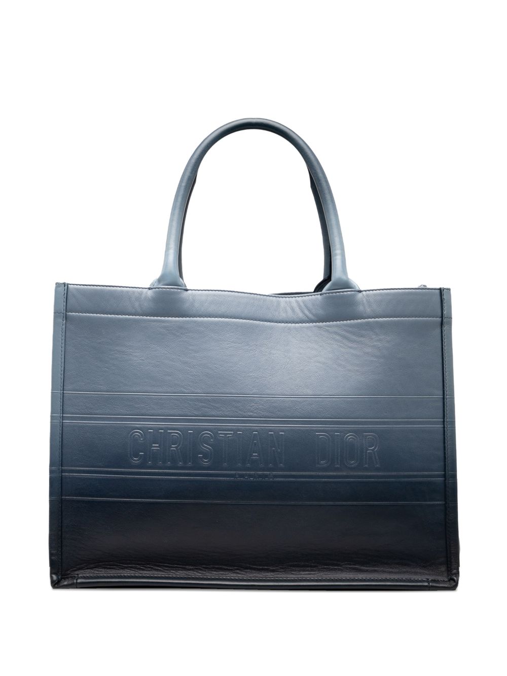 2021 Medium Ombre Embossed Leather Book tote bag