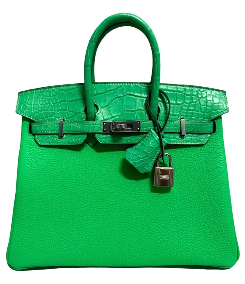 Hermes Vert Comics Togo and Alligator Touch Birkin 25 Palladium Hardware, 2023