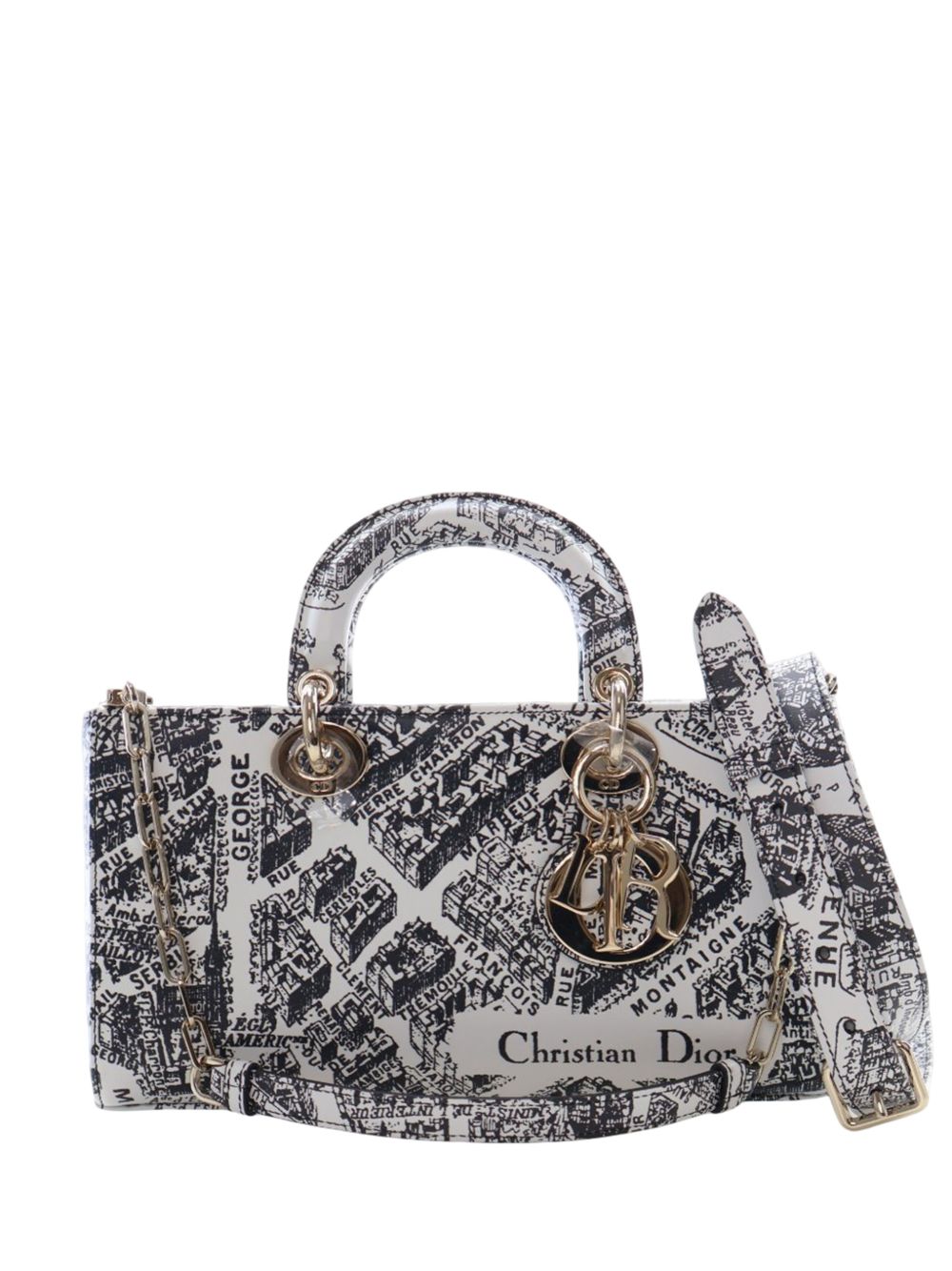 2010-2026 Medium Calfskin Plan De Paris Printed Lady D Joy satchel