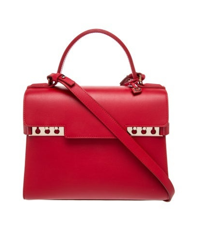 Delvaux Leather Tempete Mm
