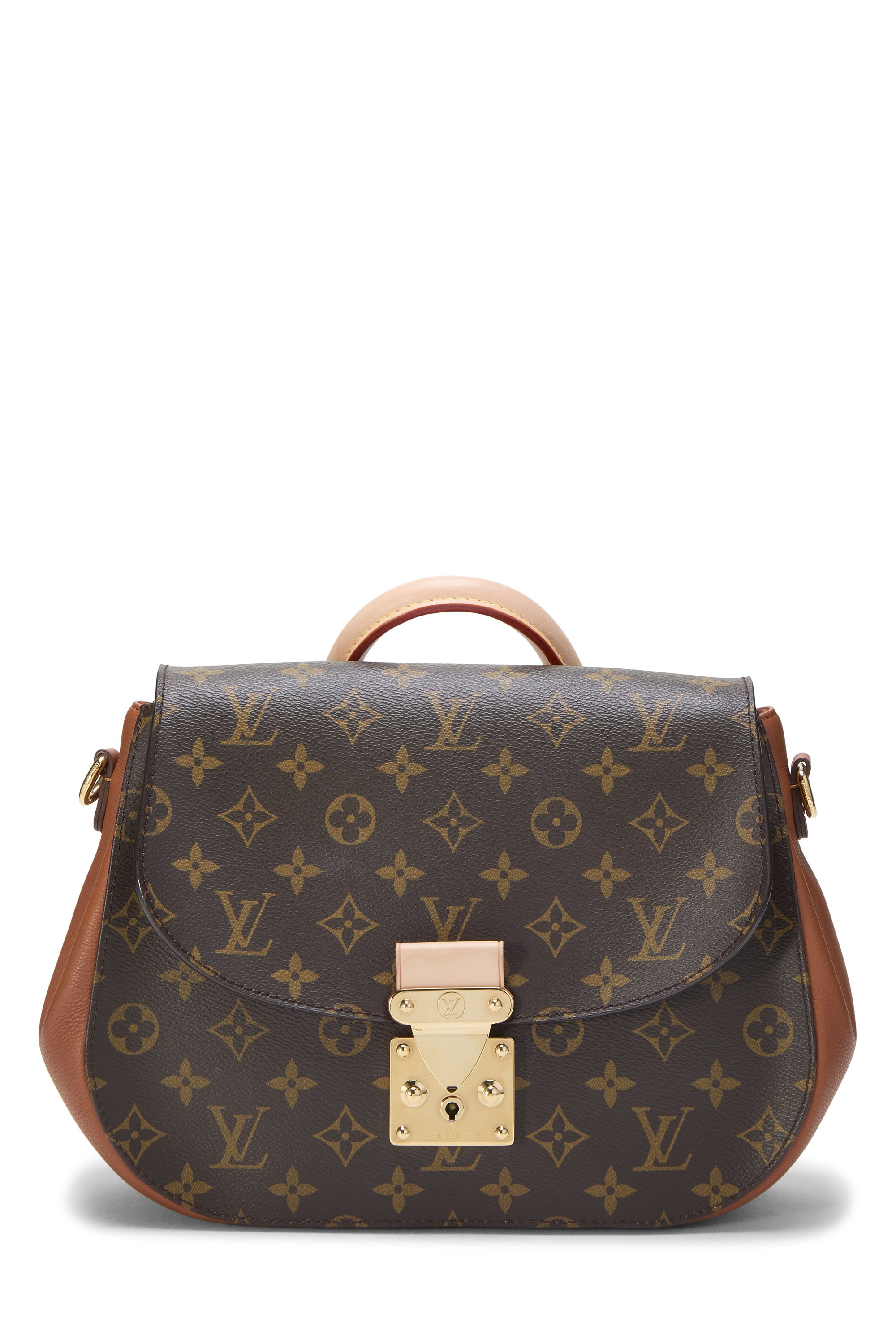 Havane & Monogram Canvas Eden MM 