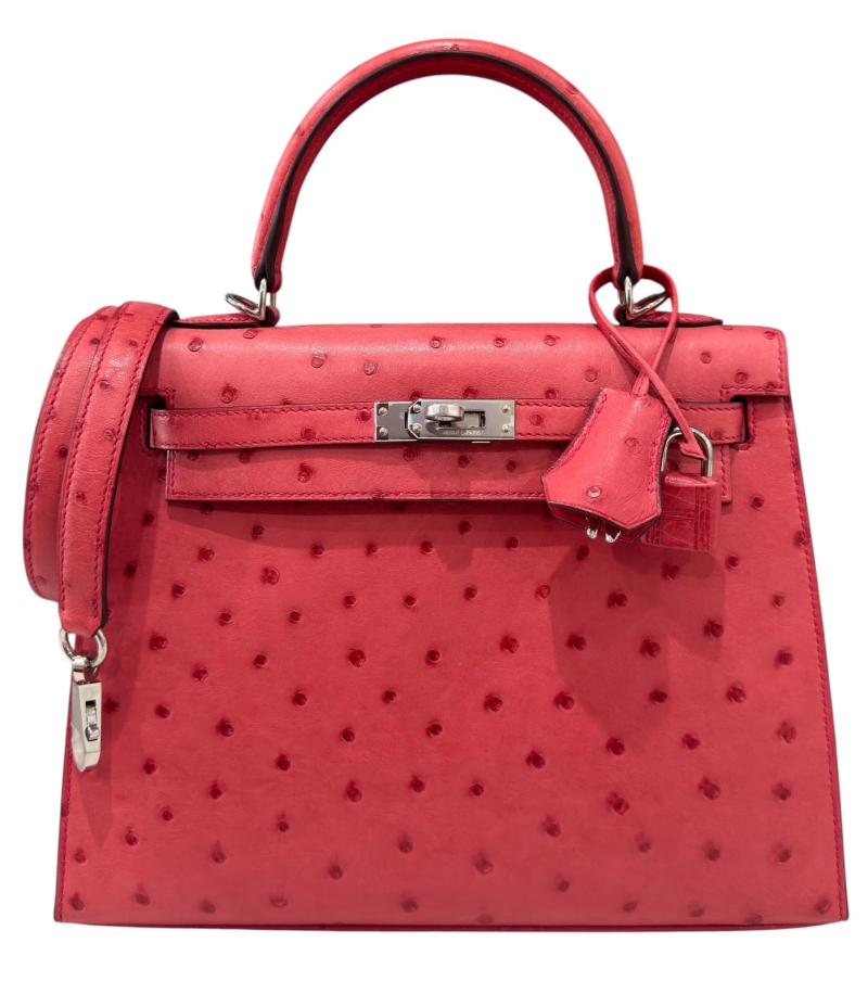 Bougainvillea Ostrich Sellier Kelly 25 Palladium Hardware, 2018