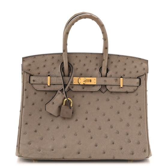 Hermes Ostrich Birkin 25 Gris Tourterelle
