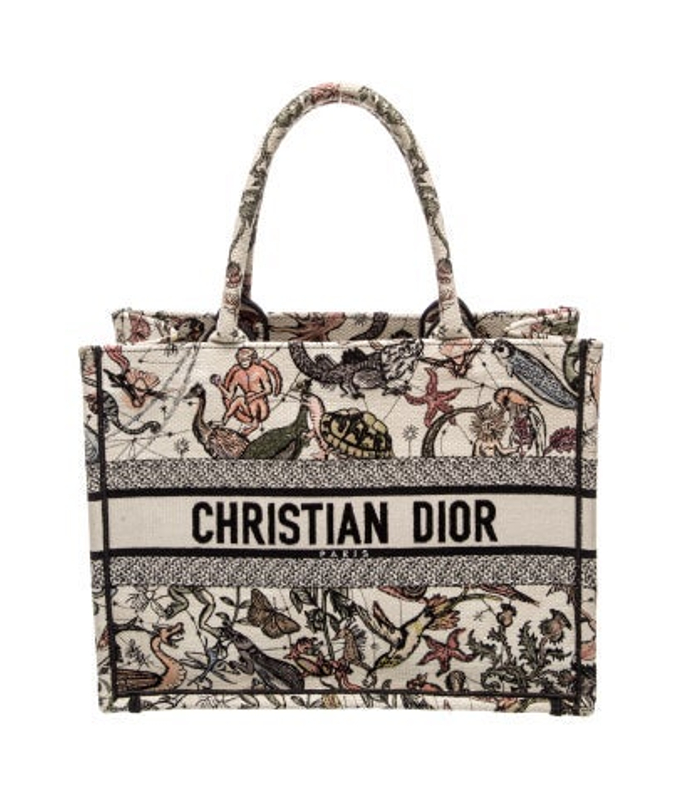 Dior Dior Canvas Book Medium 2024