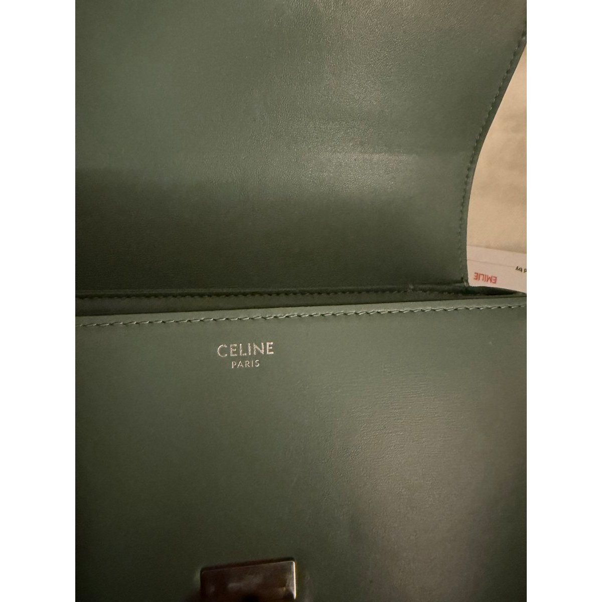 Triomphe leather handbag