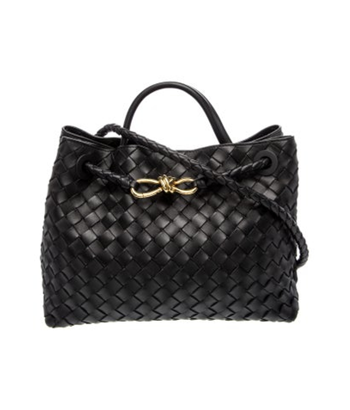 Bottega Veneta Veneta Leather Andiamo Small