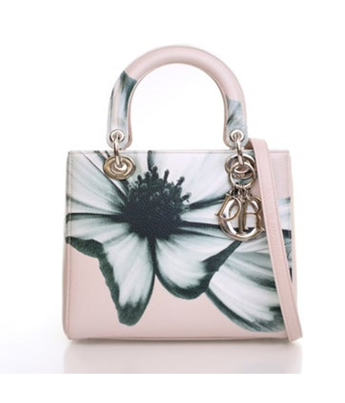 Dior Dior Leather Lady Dior