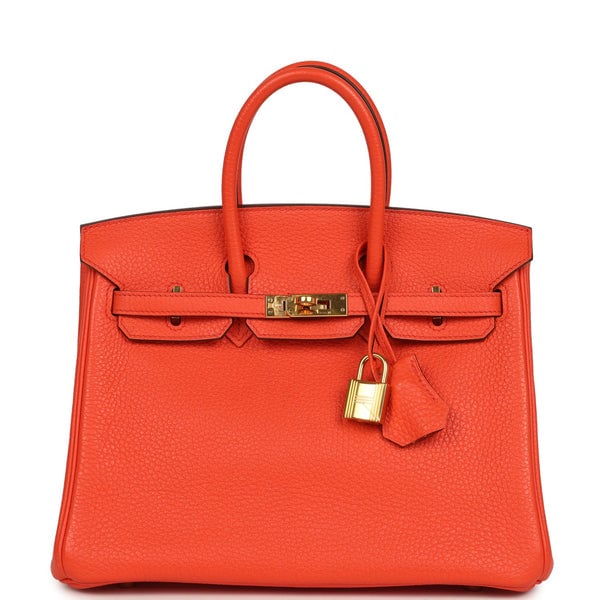Hermes Pre-owned Hermes Birkin 25 Orange Poppy Togo Gold Hardware