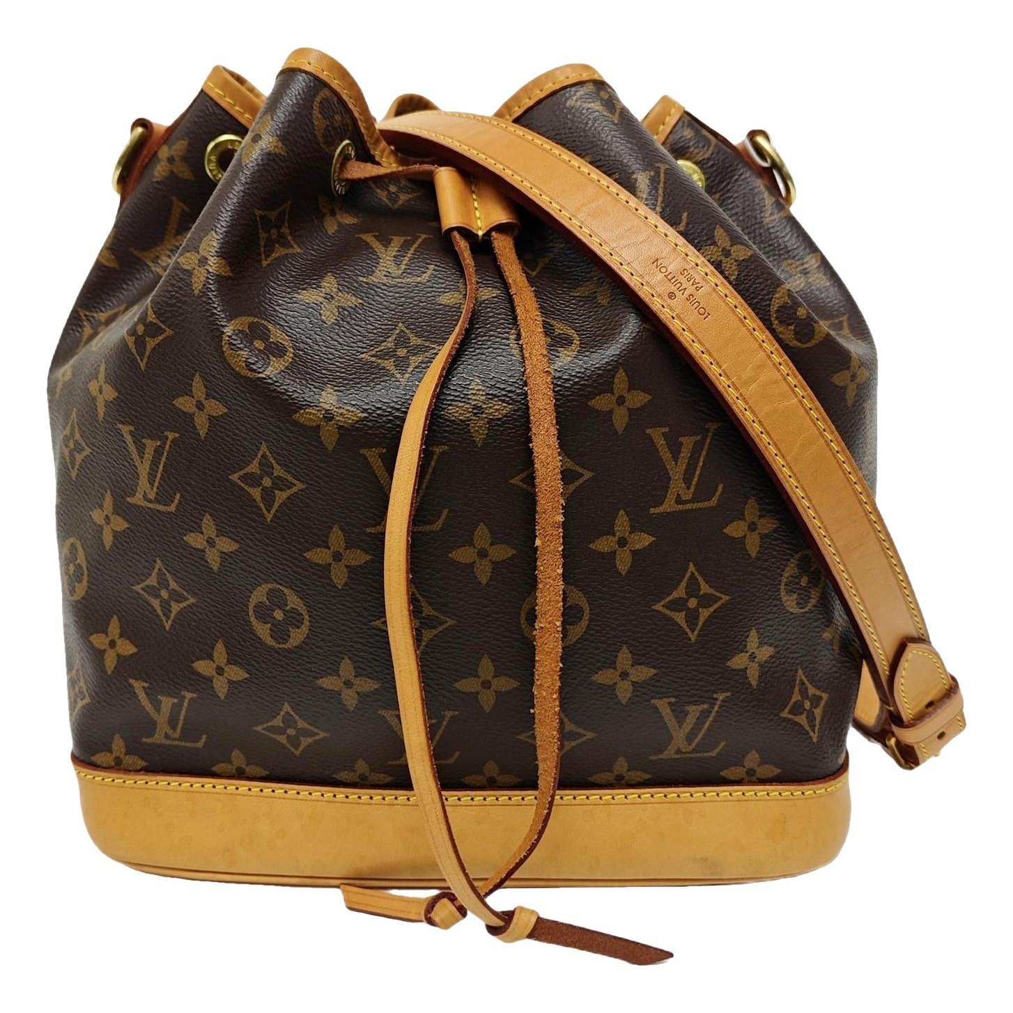 Nano Noé leather handbag