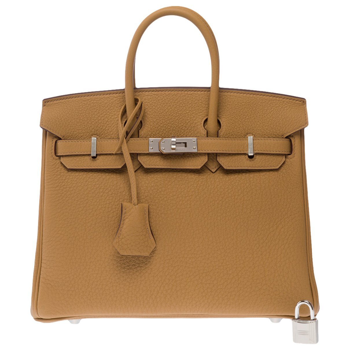 Hermes Birkin 25 Handbag Togo Leather 2025