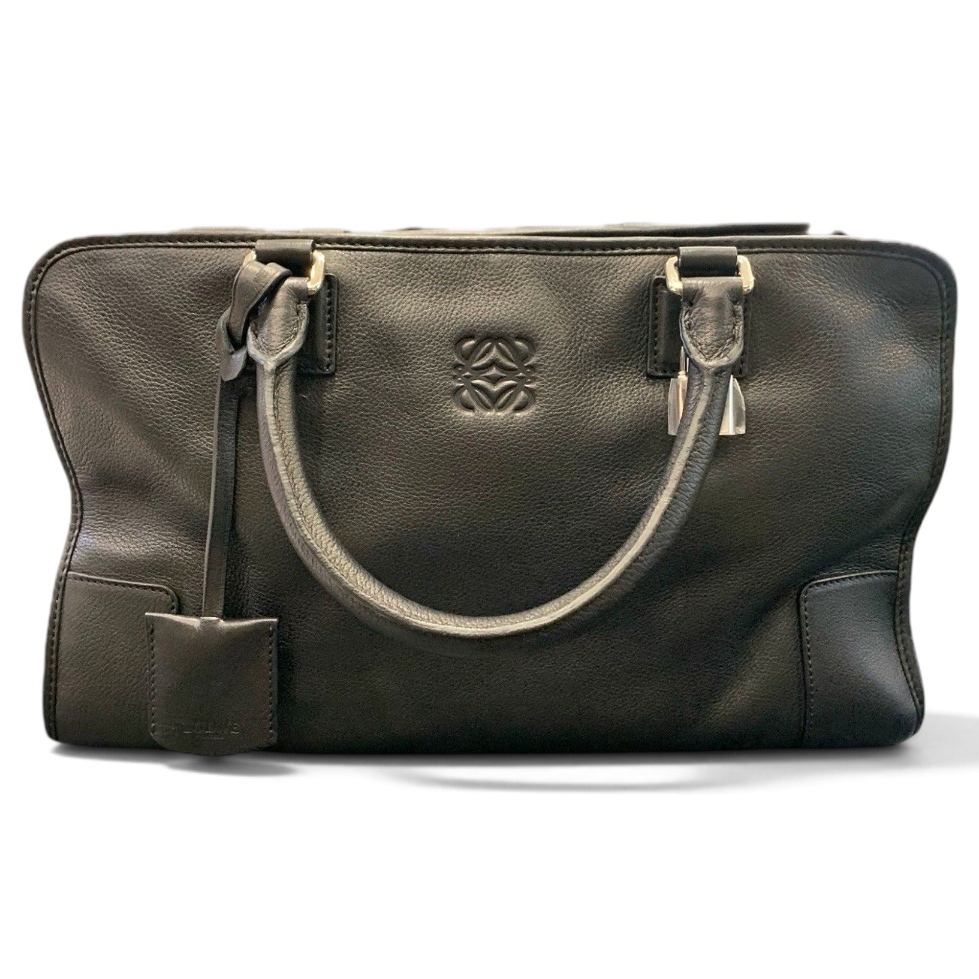 Amazona leather handbag