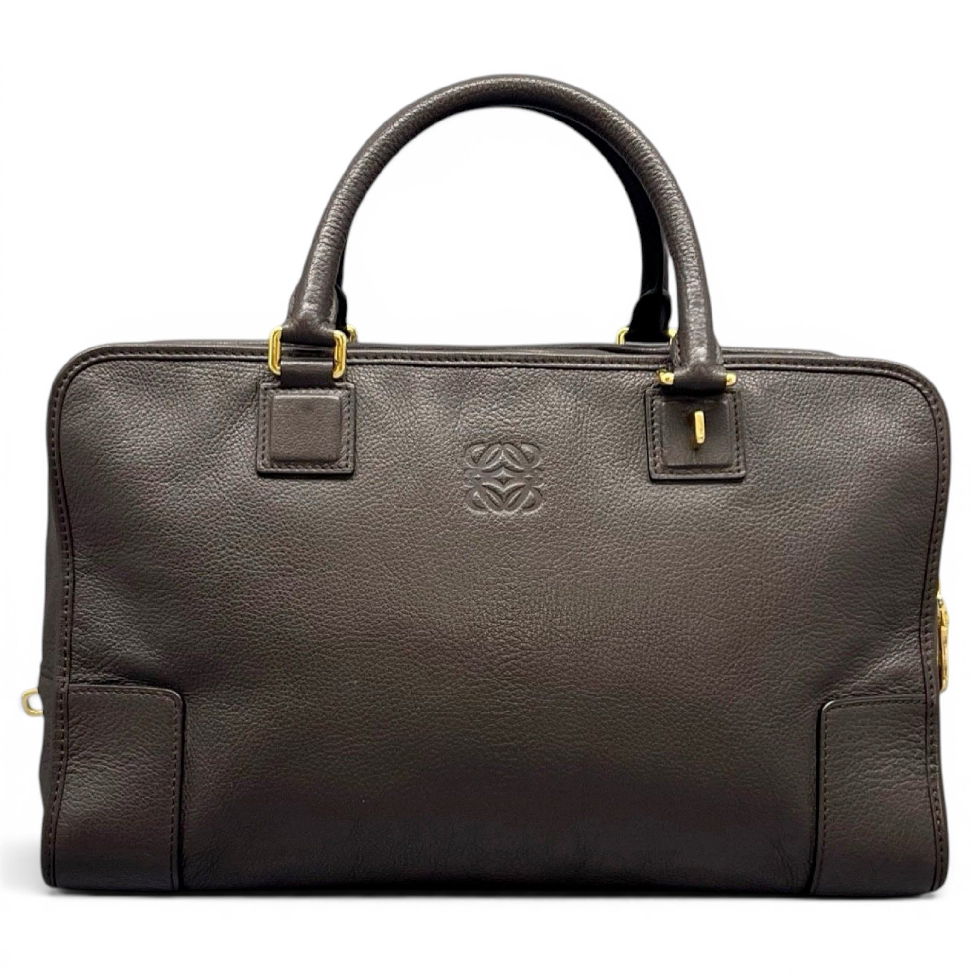 Amazona leather handbag