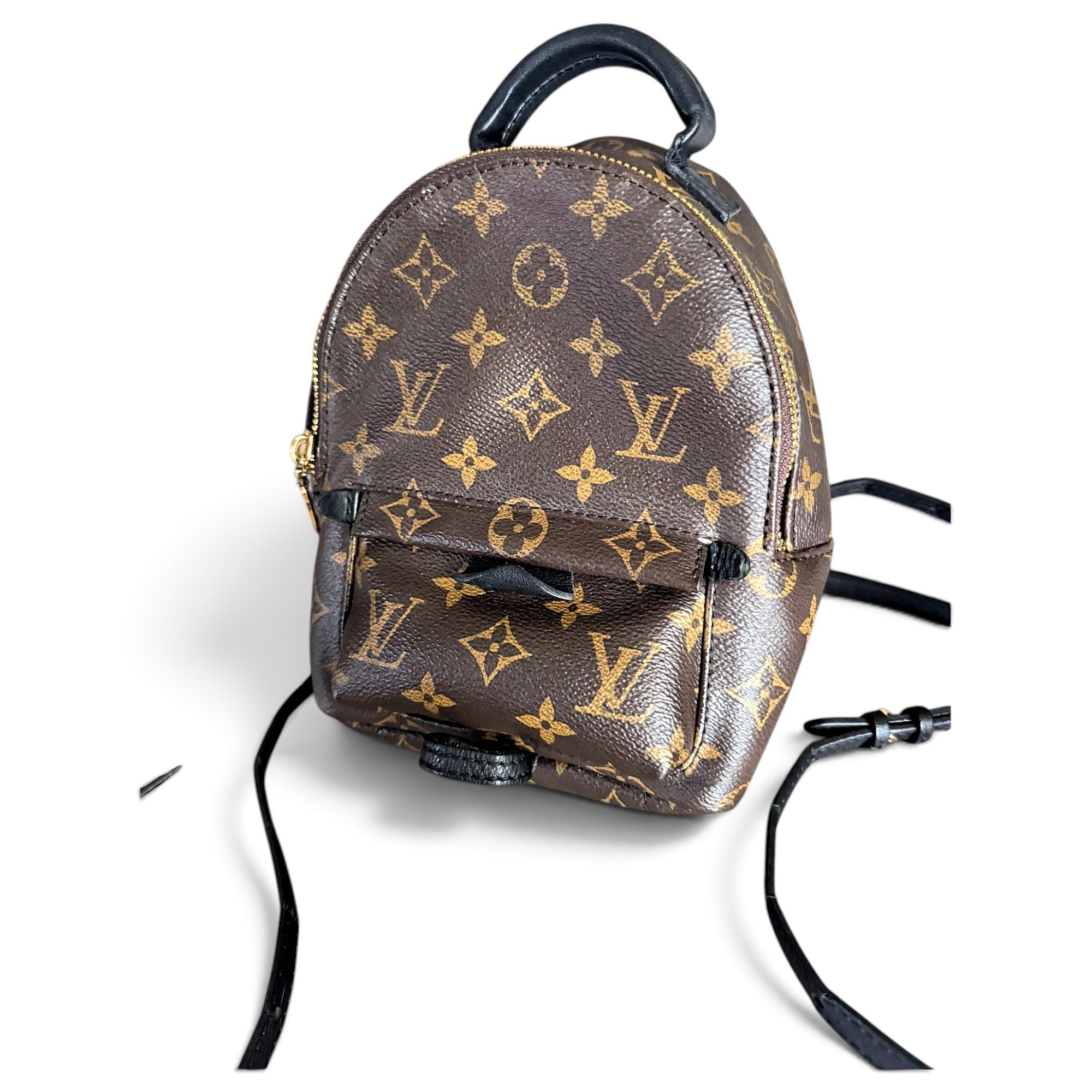 Palm Springs backpack