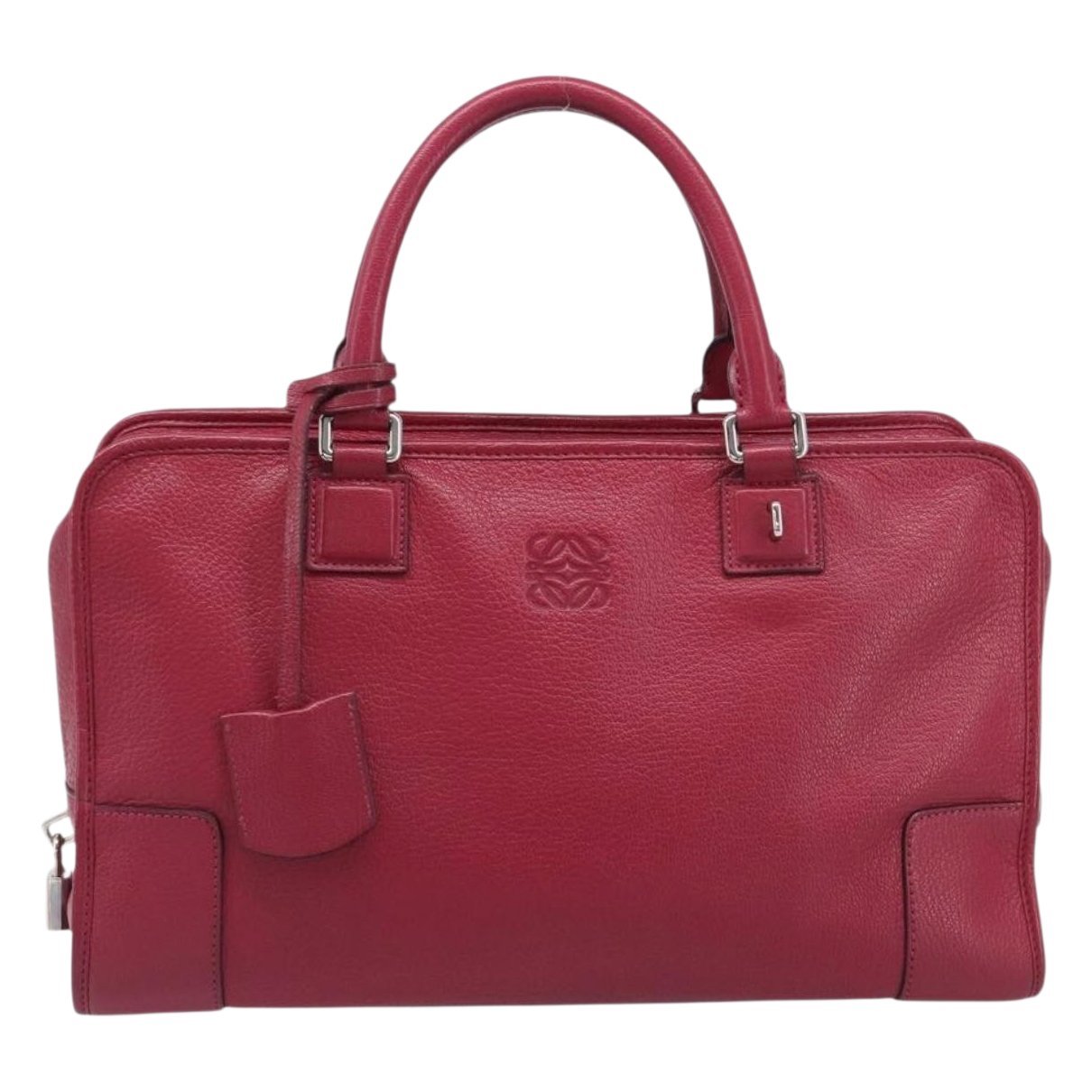 Amazona leather handbag