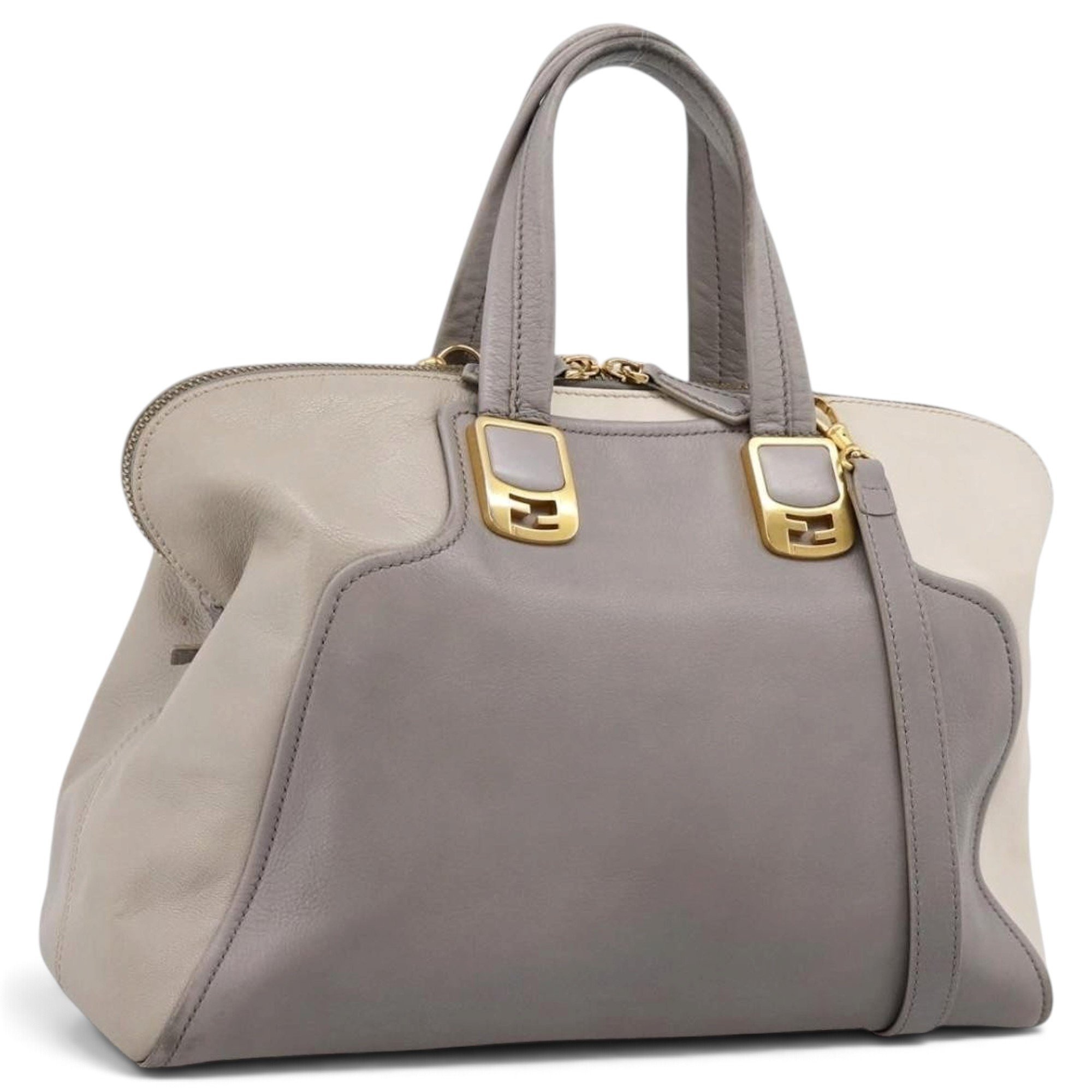 Chameleon leather handbag