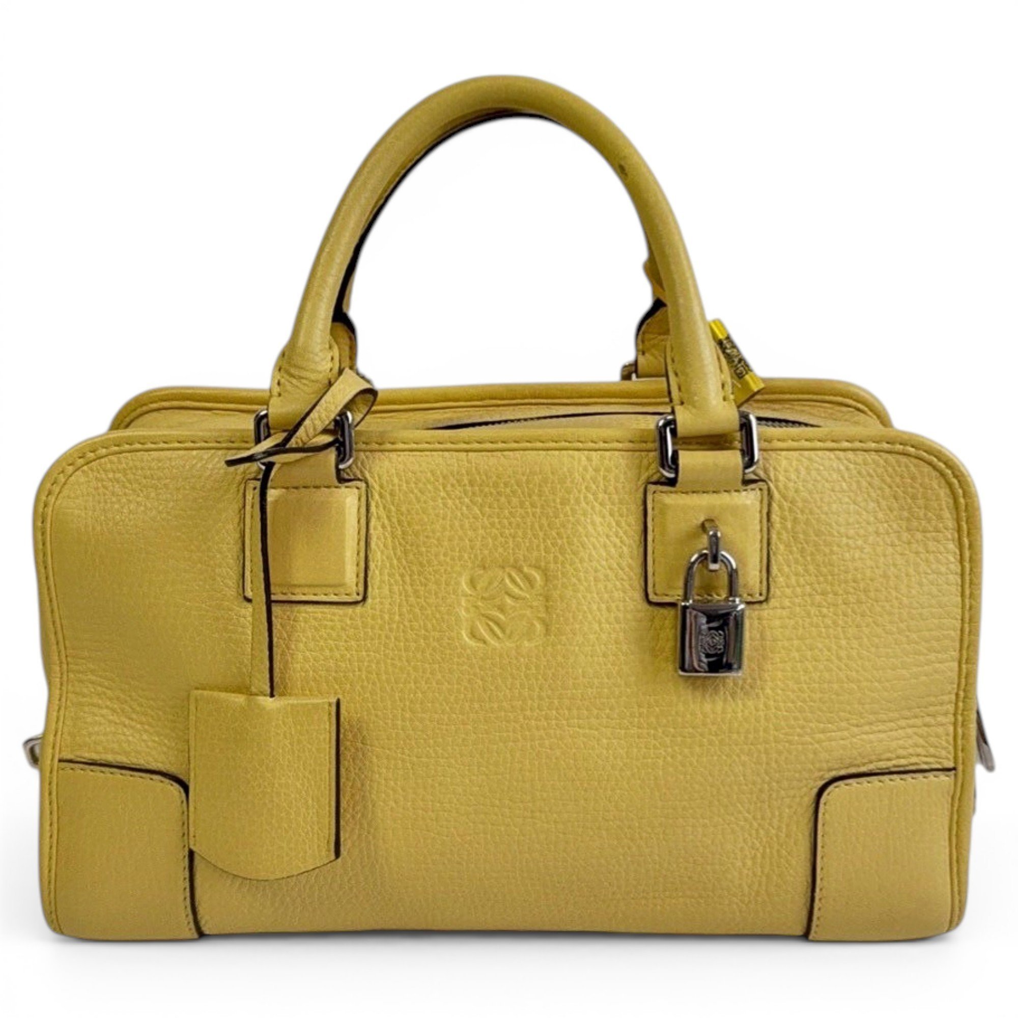 Amazona leather handbag